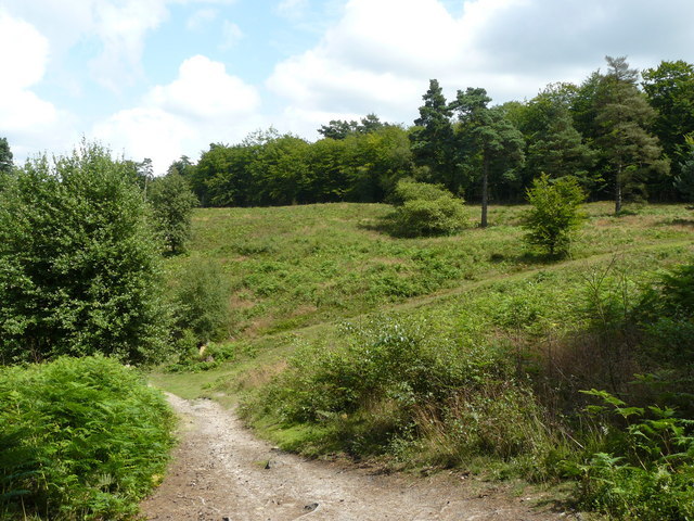 Bridlepath on Coldharbour Common